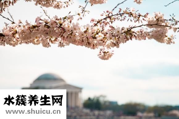 产后发烧咳嗽怎么办