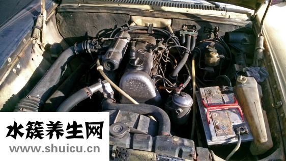人胎盘怎么清洗