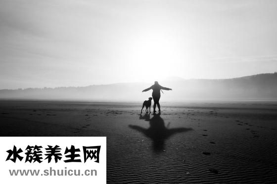 人参怎么挑选