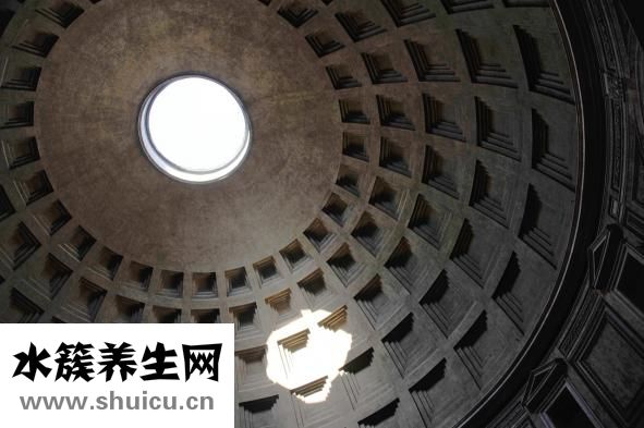 叉花瓶怎么维护