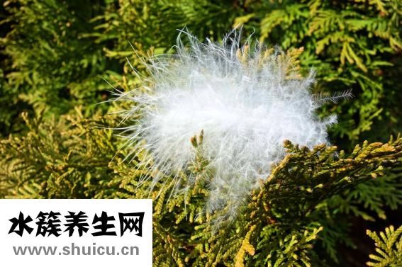 保留指数怎么查
