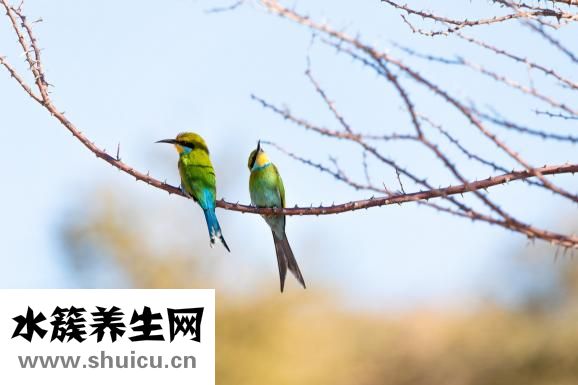 关公吊坠怎么搭配