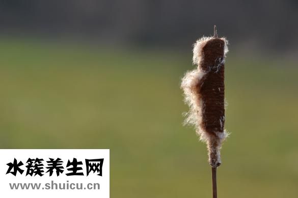 保留指数怎么查