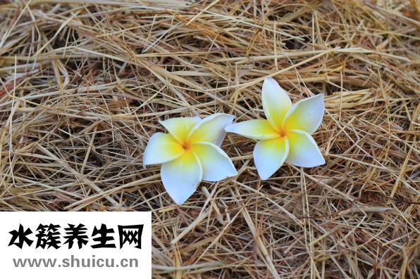 厨房冲着门口怎么办
