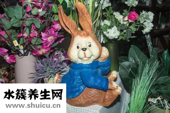 咸兔子肉怎么烧