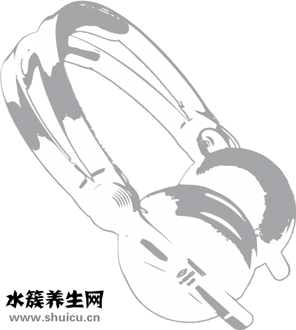 人被撞了怎么办