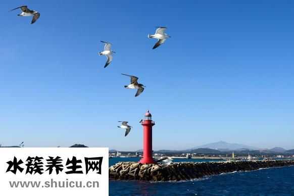 冬天盗汗怎么办