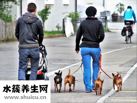 低血压手脚麻怎么办