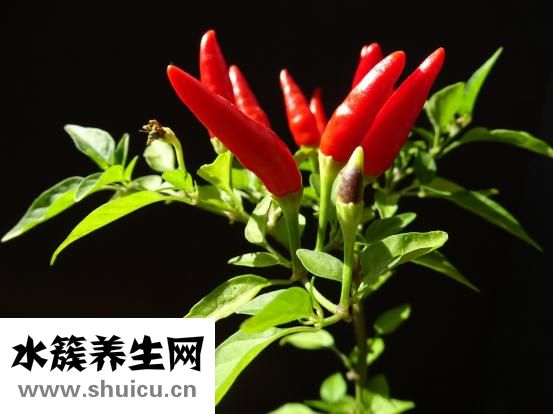 卷饭怎么做