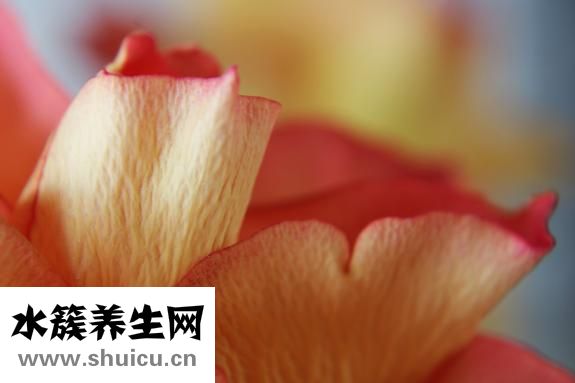 不能持久怎么办