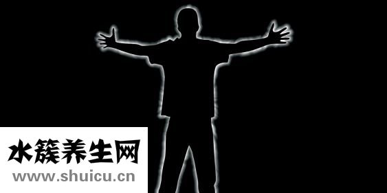 吉娃莲怎么繁殖