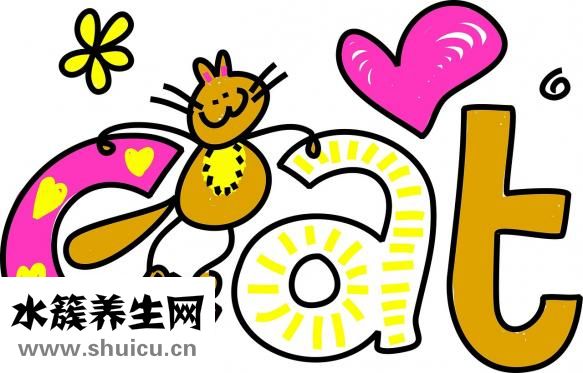 云彩日记怎么写