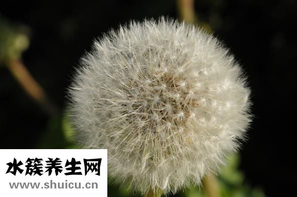 乳晕干燥怎么办