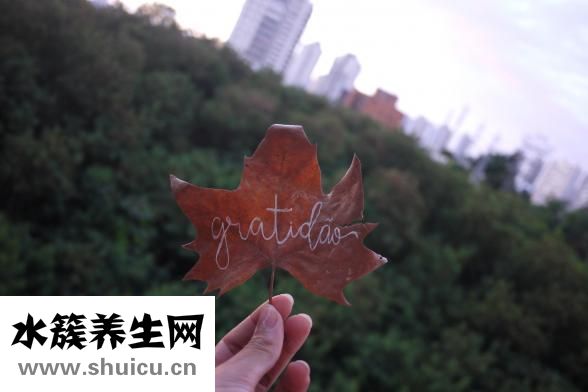 主题上怎么写字