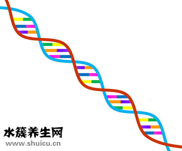 吃饭狂咳嗽怎么办
