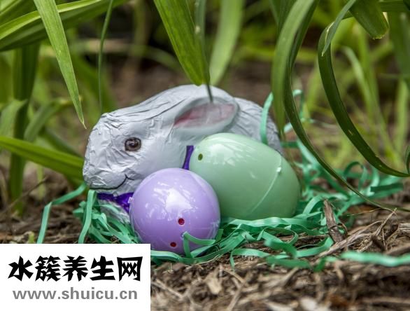 咸兔子肉怎么烧