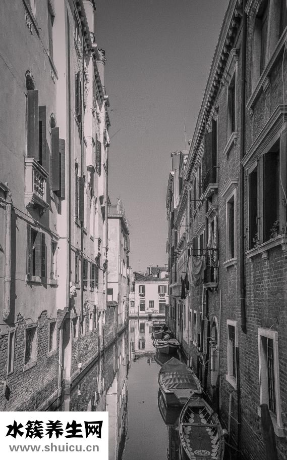 公鹅母鹅怎么看