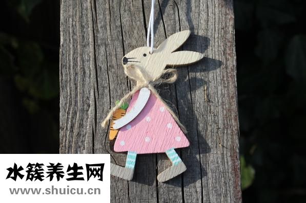 咸兔子肉怎么烧