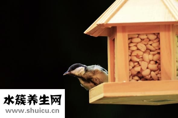 卷饭怎么做
