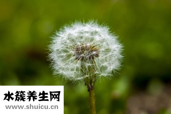 乳晕干燥怎么办