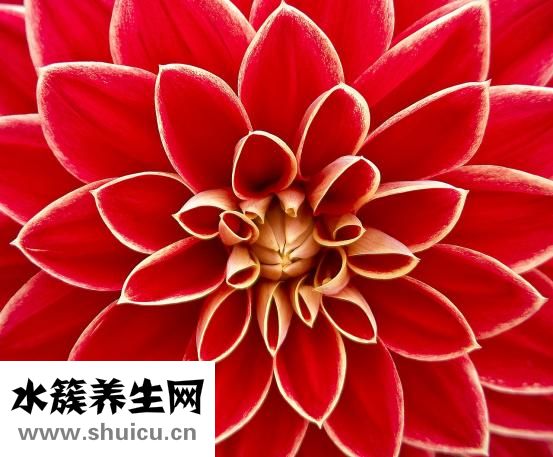 一元秒杀怎么参加