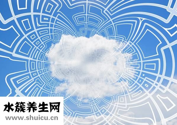 吃晕车药过敏怎么办
