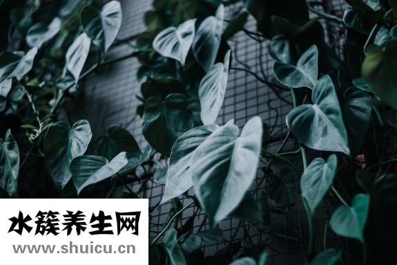 不想理一个人怎么办