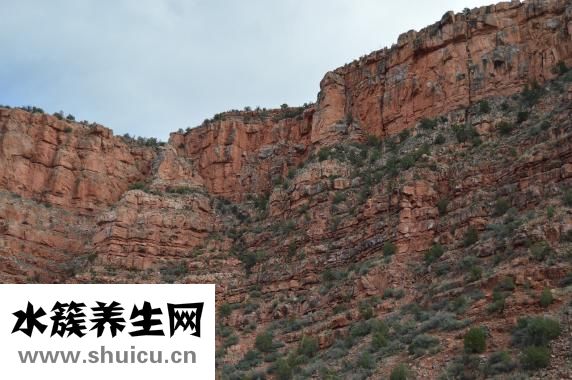 产后病假怎么写