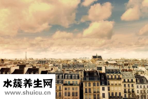 博美身上长疤怎么办