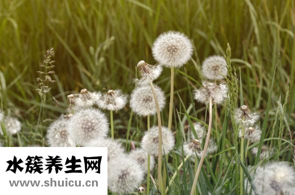 乳晕干燥怎么办