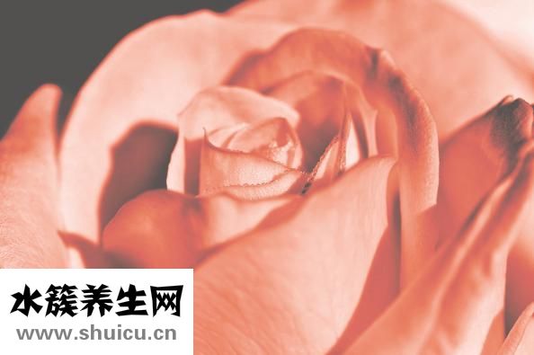 减肥抑郁症怎么治疗