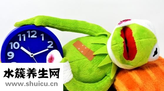 吃晕车药过敏怎么办