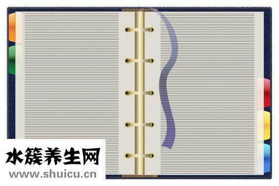云彩日记怎么写