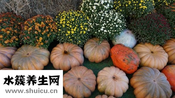 包菜饭怎么做好吃吃