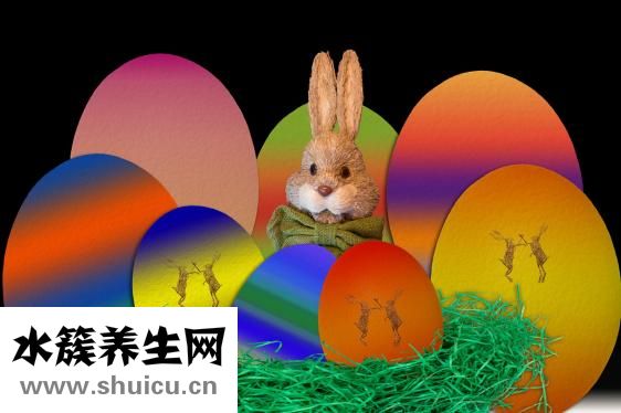 咸兔子肉怎么烧