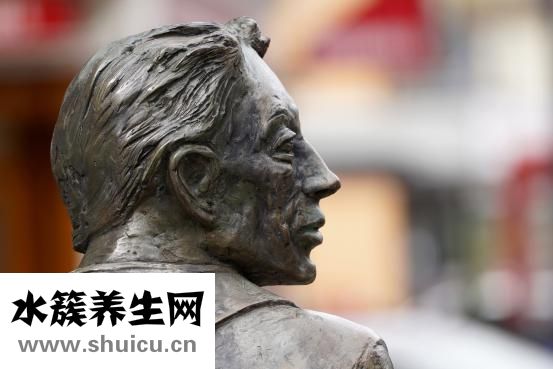 人被撞了怎么办