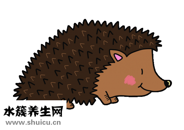 刺猬腿伤了怎么办