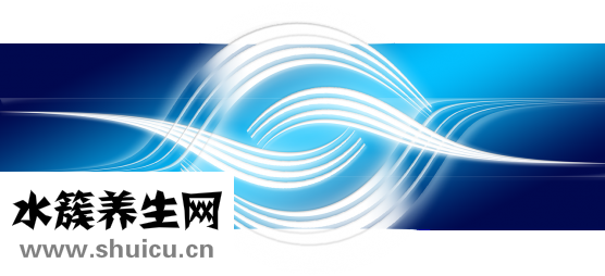 叉花瓶怎么维护