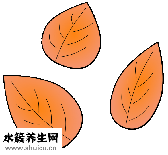 会阴高怎么量