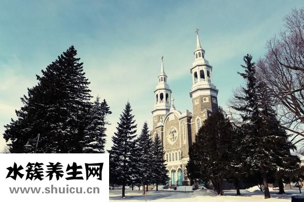 从澳洲怎么去南极