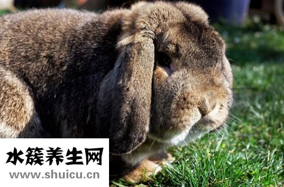 咽痛耳朵痒怎么回事