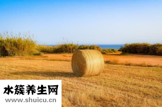 吃桔子多了怎么办