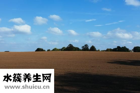 呕制肥料太臭怎么办