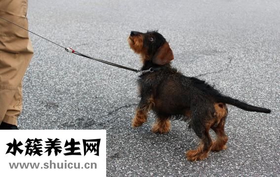 吃了生腊肠怎么办