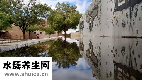 人参怎么看多少年