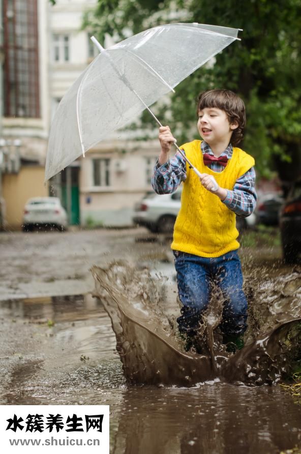 八字禄神怎么看