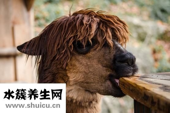 咽痛耳朵痒怎么回事