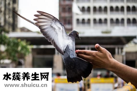 吃桔子多了怎么办