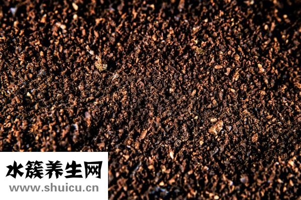 可可粉怎么冲泡