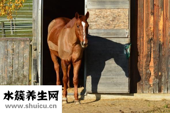 剃须刀怎么用啊